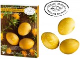 Sada k dekorování vajíček - světlice barvířská -7718
