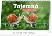 Kalendář stolní PG Tajemná říše zvířat - 23,1x14,5cm