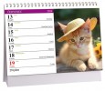 Kalendář stolní Aria C Kočky - 230x160mm