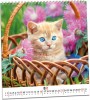 Kalendář nástěnný Aria G Koťata 320x340mm