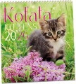 Kalendář nástěnný Aria G Koťata 320x340mm