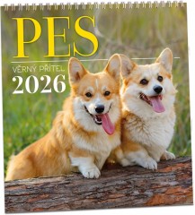 Kalendář nástěnný Aria G Pes 320x340mm