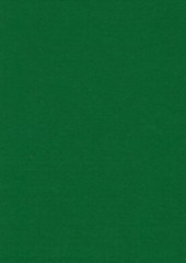 Filc 21x29,7cm/10ks zelený