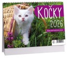 Kalendář stolní Aria C Kočky - 230x160mm