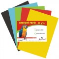 Papír pro VV A3/100/80g -5barev po 20 li